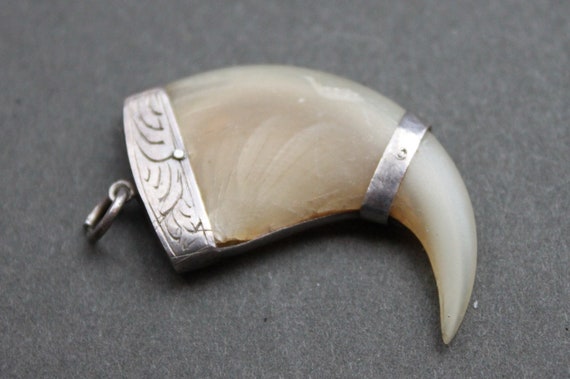 Victorian Bengal Tiger Claw Trophy Pendant / by TheHiddenChamber