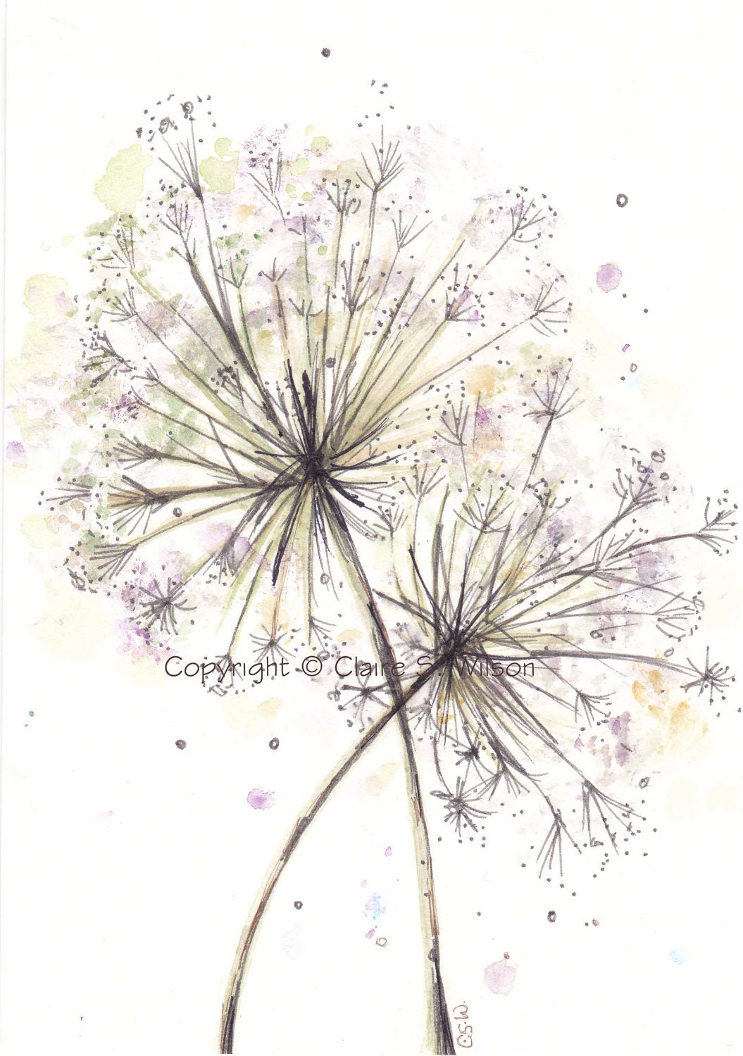 Queen Anne's Lace Original watercolor 5x7
