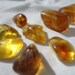 Amber - Genuine Dominican Amber - Lot of 8