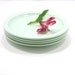 Mint side plates