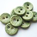 Lichen Green Flower Buttons