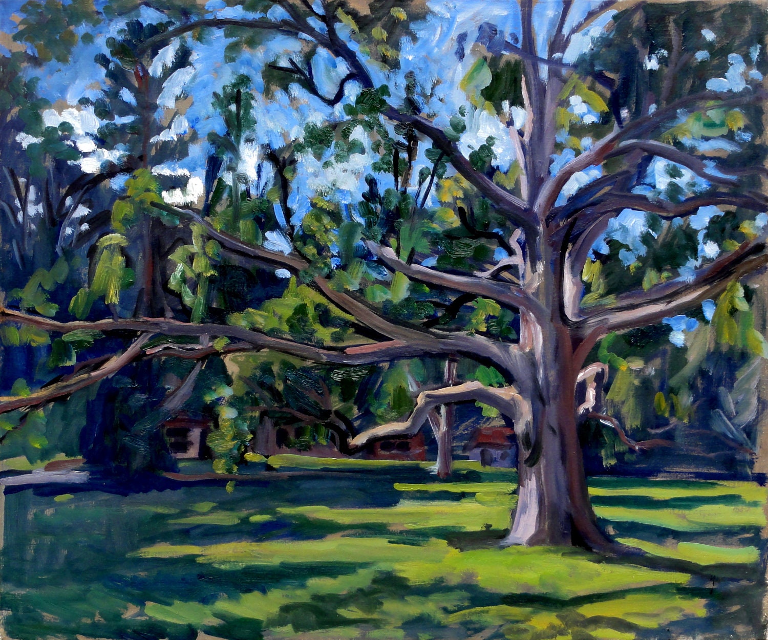 Large Oil Painting Landscape Old Tanglewood Tree. 20x24