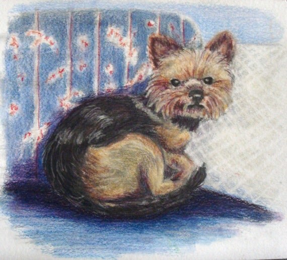 Items similar to Yorkie Drawing, Colored Pencil Art, Dog Art, Original