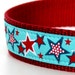 Red Stars on Aqua Blue Dog Collar / 1 inch width / adjustable / Up to size Large only
