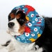 Chickens and Daisies Dog Snood / Cavalier King Charles or Cocker fabric ear covering / Small Available