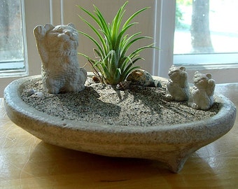3 Lucky Cat Maneki Neko in Zen Garden Air Plant Terrarium