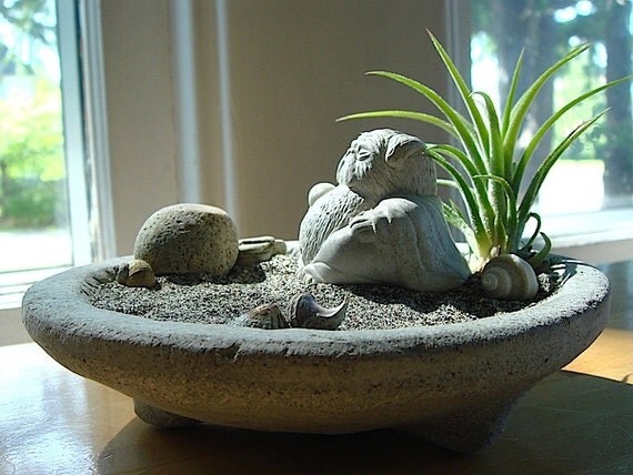 pug buddha pug gift airplant terrarium with lucky pug buddha sculpture in zen garden pug pug buddha pug gift airplant terrarium with lucky pug buddha sculpture in zen garden pug