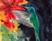 Hummingbird Print by Deborah Olliff