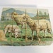 Antique Childrens Wooden Puzzle Blocks Litho - German - Animals - Beautiful Graphics