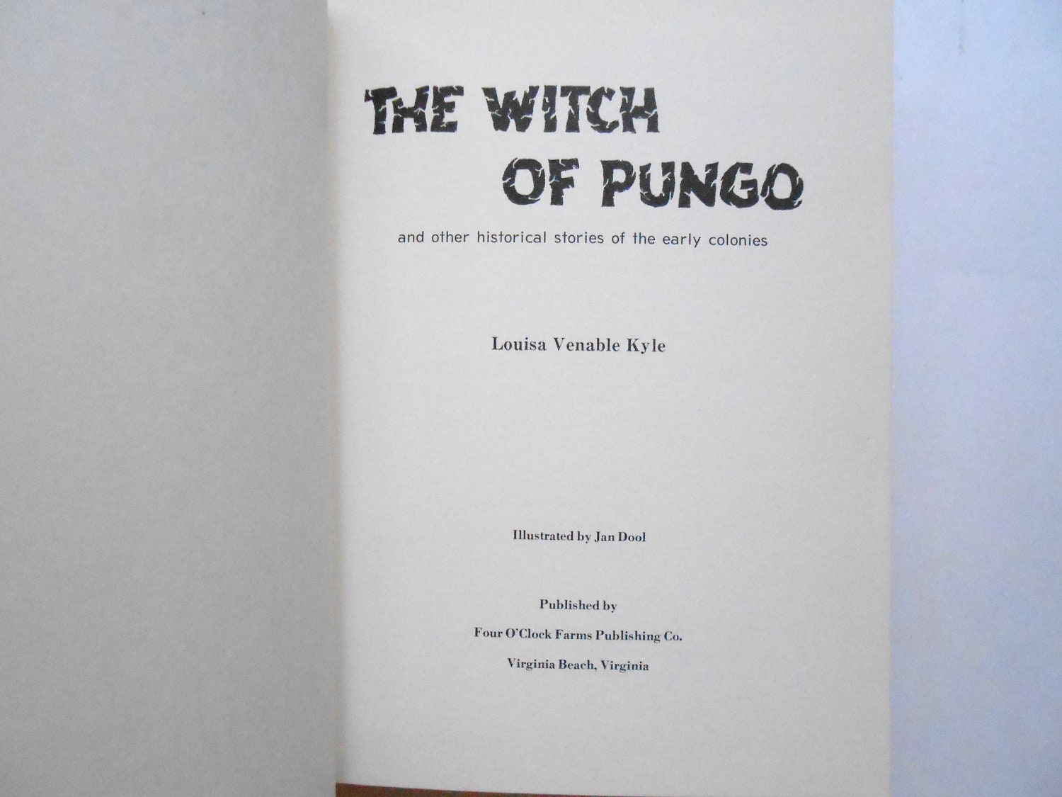 The Witch of Pungo a Vintage Children's by lizandjaybooksnmore