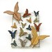 Barn Door Butterflies