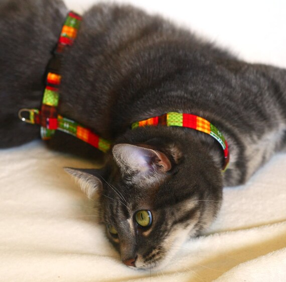 Large Cat Harness Harvest Stripe