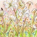 Original Drawing - Queen Anne's Lace - Colored Pencil Ink Drawing 3.5 x 5 - White Flower Art - Pale Pink Peach Sky