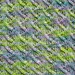 Knit Wrap Pattern: Kisses Lace Wrap Knitting Pattern
