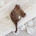 Rusty Horsehead Hook