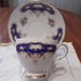 Queen Anne cup and saucer circa 1959-1966 -881
