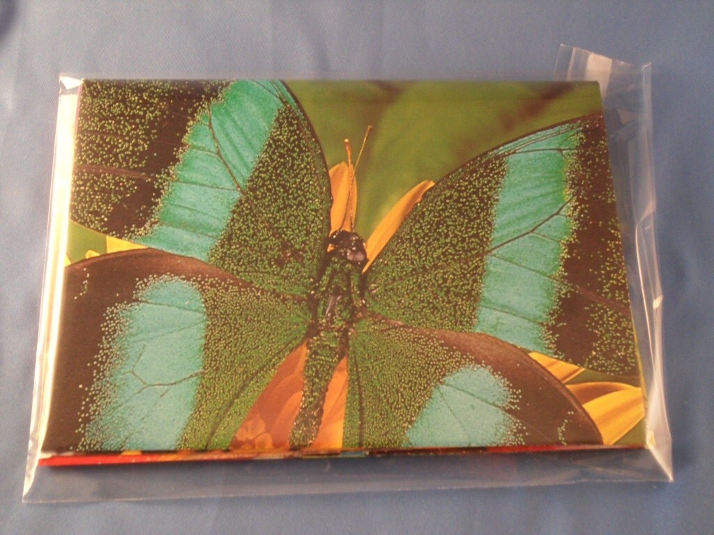 6 A6 Butterfly Envelopes with notecards by joycempope on Etsy