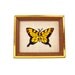 Needlework Butterfly Shadowbox Style Wall Hanging Picture