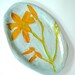 Turquoise Ceramic Platter, pottery platter, hand painted plate, botanical home decor, orange Day Lily, floral serving plate, robins egg blue