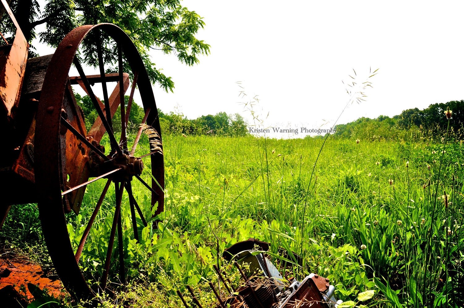 Wagon Wheel at Rest 8x10 Photograph Landscape Vintage