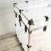 Vintage Lucite Trunk
