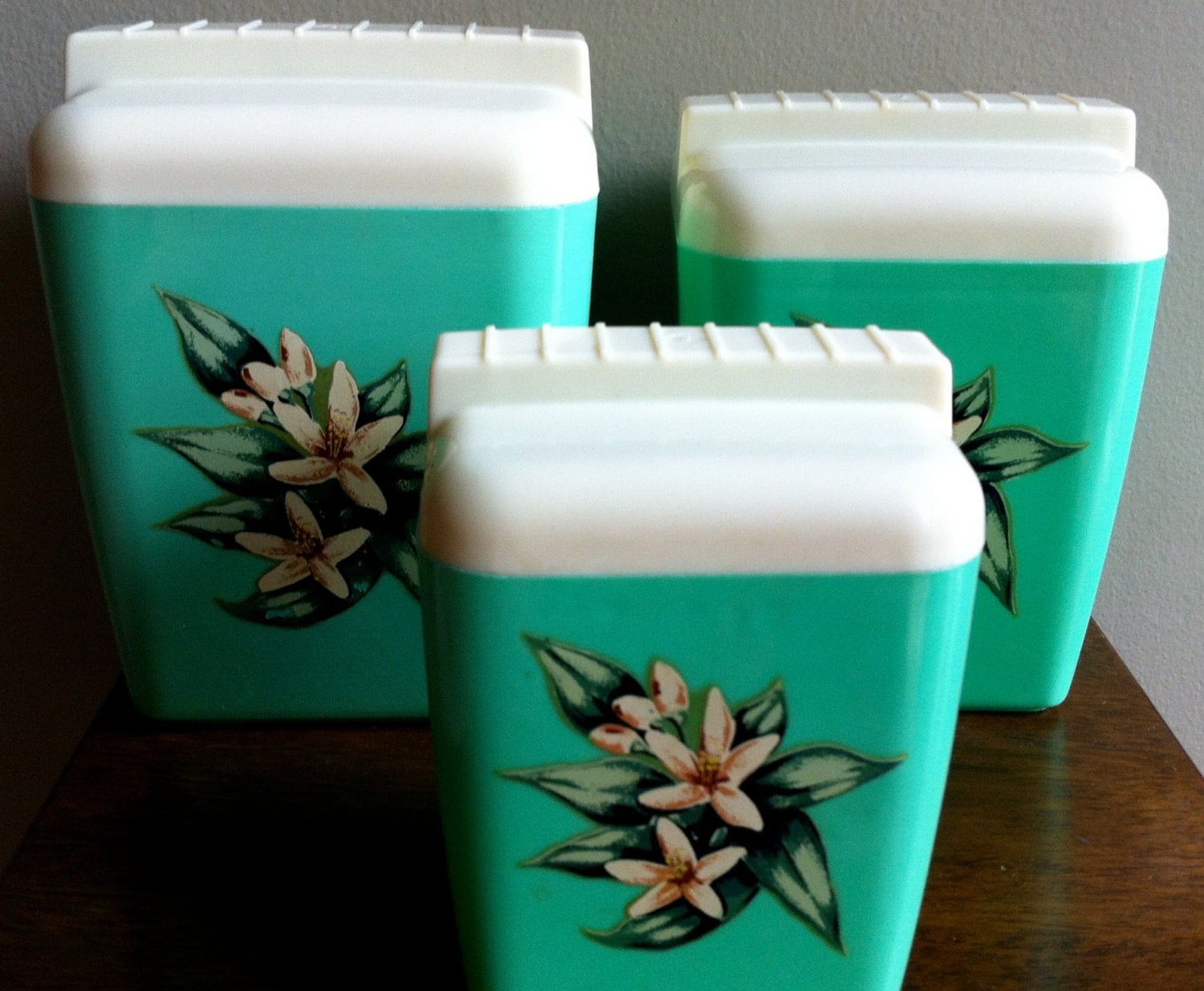 Vintage Canister Set Mint Green Floral Plastic