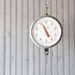 Chatillon Scale // Industrial Hanging Scale