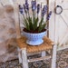 Lavender in a strainer for dollhouse