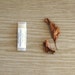 Cocoa Pumpkin Cheesecake Lip Balm, Beeswax, Shea Butter, Fall Leaves