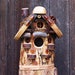 Spalted Pecan Bird House #5