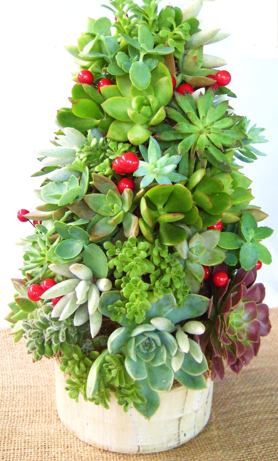 diy succulent topiary tree tabletop garden by diy succulent topiary tree tabletop garden by
