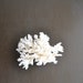 medium whole branch white coral specimen