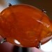 Mexican Jelly Opal. Orange. 8cts. 13.5x9.5mm
