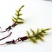 Fern Sprig Earrings. Fern Leaves on Brown Earring Backs