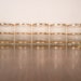 Vintage Gold Old Fashioned Glasses - Set of 7