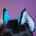 blue lynx ears