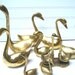 Brass swans instant collection