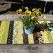 Green and Brown Stripe Table Runner