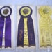 Vintage Dog Show Ribbons AKC