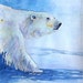 Polar Bear, Ice Bear, Arctic Wild Life, Child's Room decoration - Original Watercolor Painting by ebsq Artist Ricky Martin - FREE SHIPPING