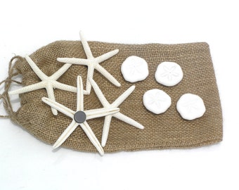 Items similar to White Starfish & Sand Dollar Plaques - Wall decor ...