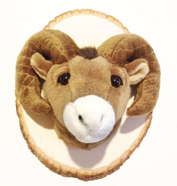 plush mounted animal heads