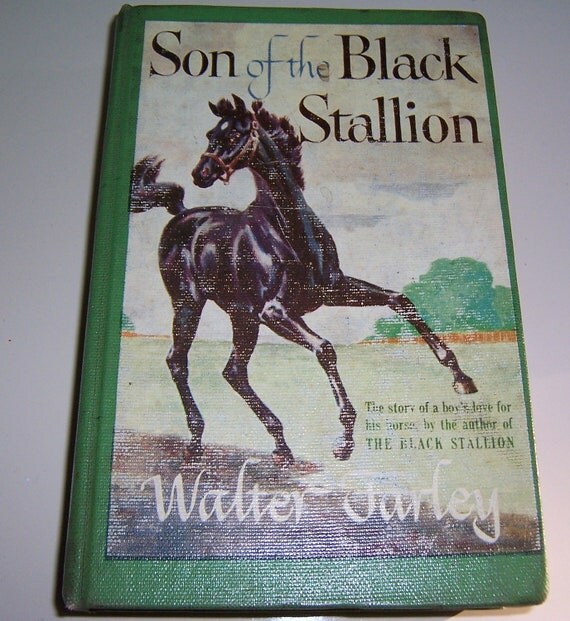 Vintage Horse Book Son of the Black Stallion by by SierrasTreasure