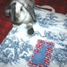 soft carrier liner for rabbits quilted blue and white toile cotton fabric - the Bun-velope