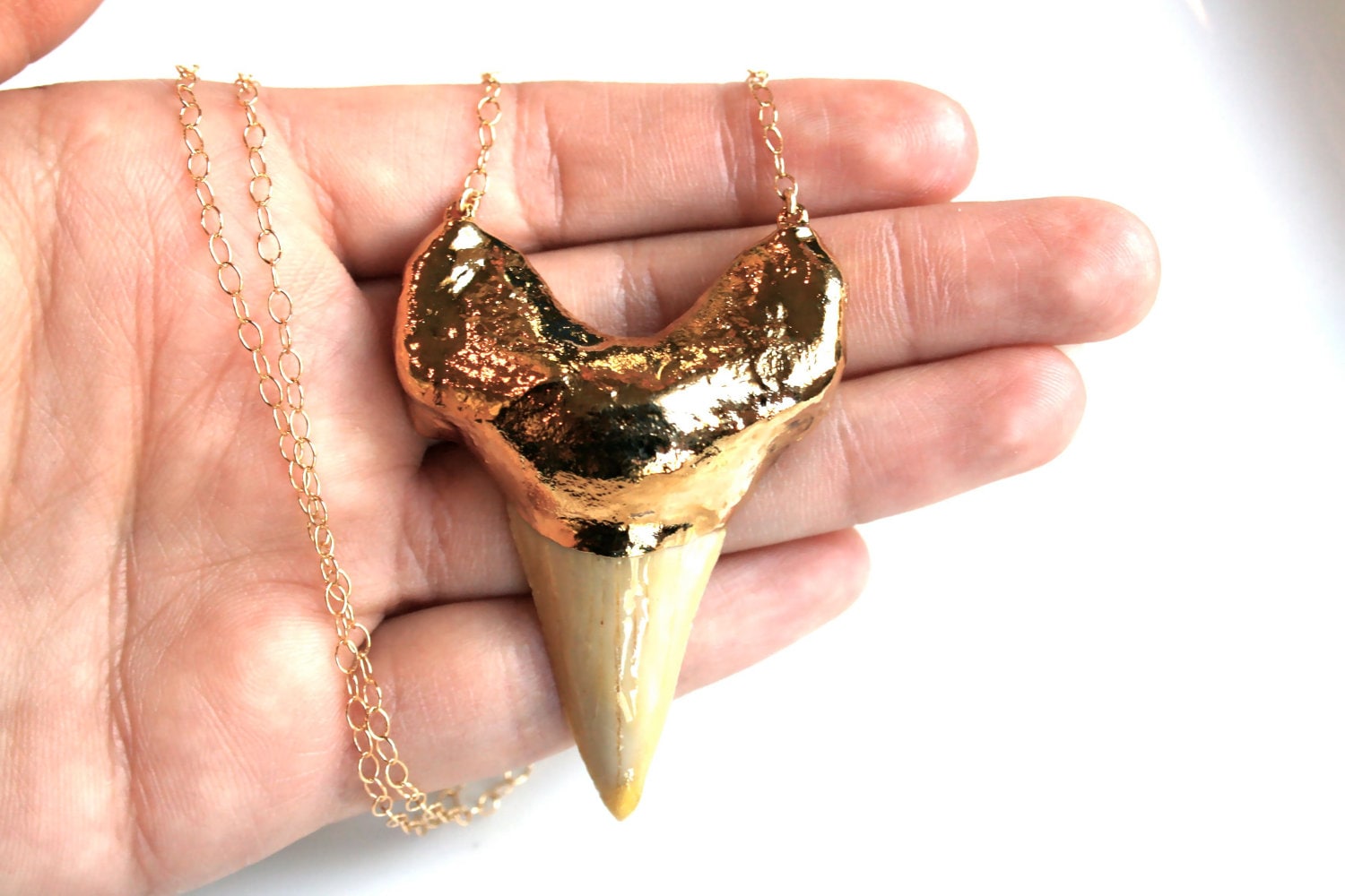 Gold Shark Tooth Necklace. Extra Large on 30 inch by TalaStone