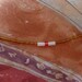 Glow in the dark - Gold waistbead