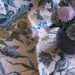 Vintage Waverly Plymouth Document Fabric