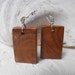 Swirling Grain Cedar Slab Earrings - Wood with Sterling Silver French Ear Wires