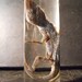 Lizard in a Jar Wet Specimen Wet Taxidermy Chameleon
