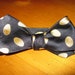 Beau Regards BLACK GOLD large polka dot silk men's bow tie, made from repurposed standard ties, guaranteed one of a kind